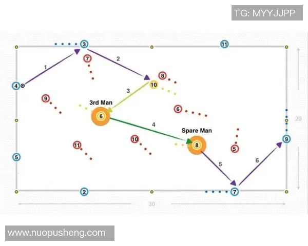 武汉网球队的转型之路与成败得失分析